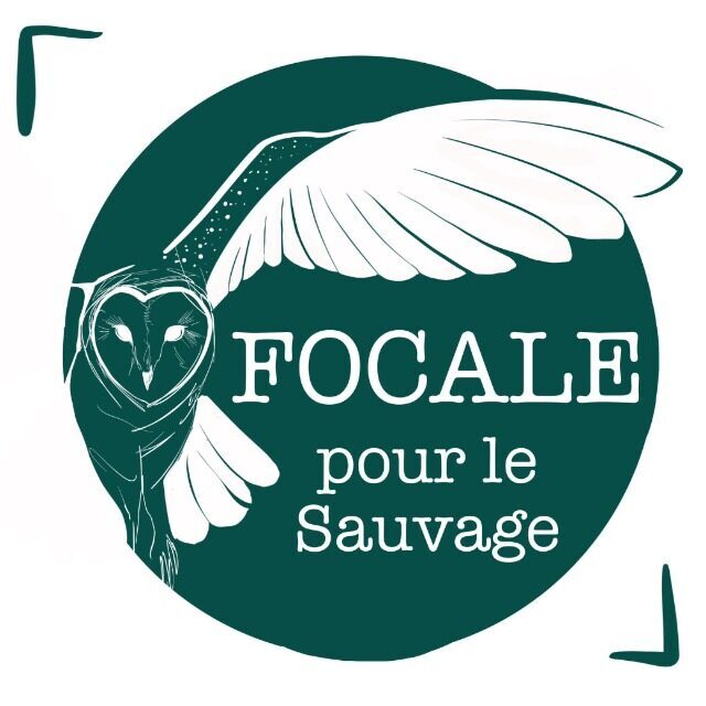 Focale Pour le Sauvage